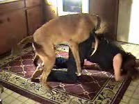 Dog fucking a fully clothed beastie gal